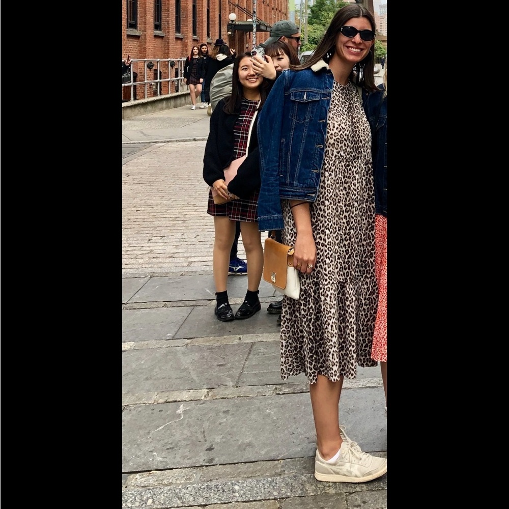Cheetah Print Zara MIDI dress